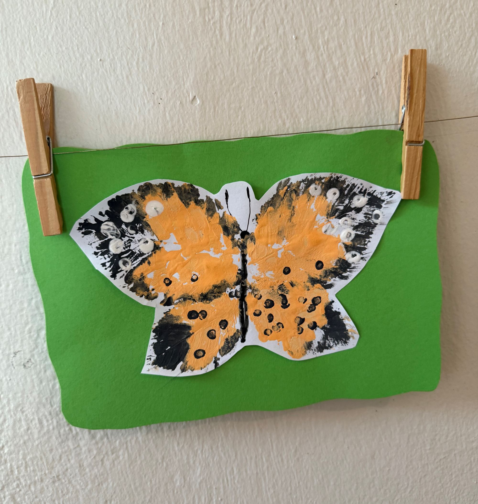 Von_der_Raupe_zum_Schmetterling_2025.jpg