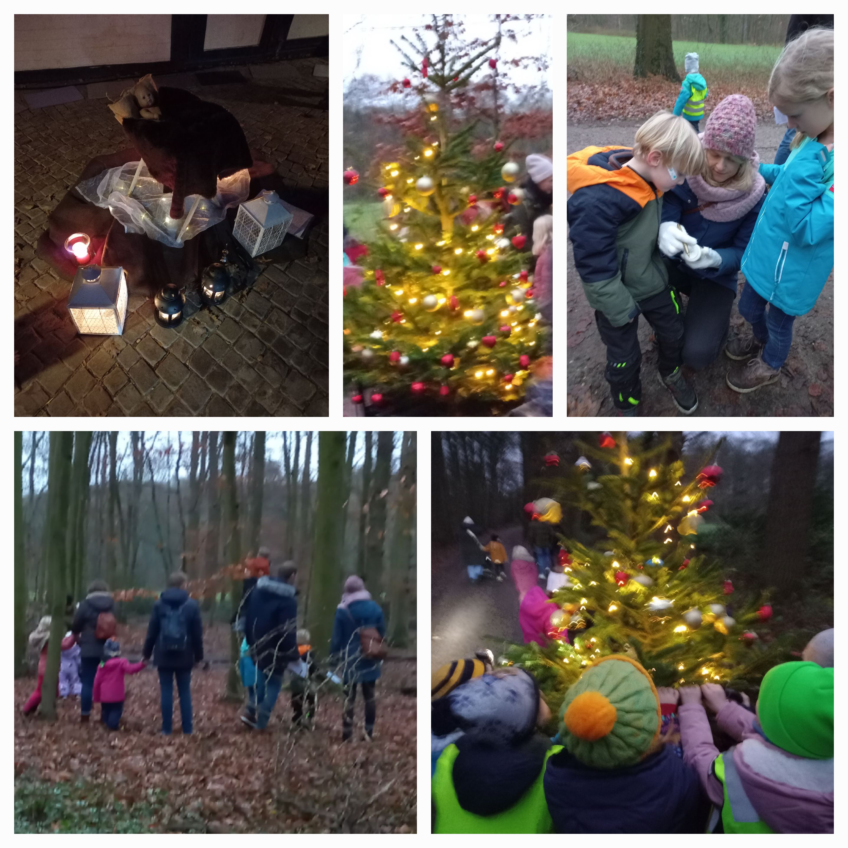 Waldweihnacht 2024